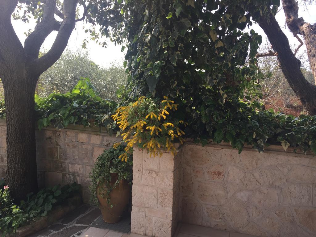 Il Trullo di Nonno Angelo San Marco Hotel Locorotondo Eksteriør billede