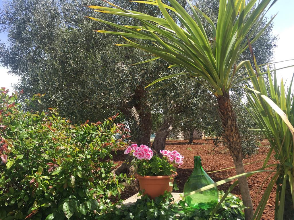 Il Trullo di Nonno Angelo San Marco Hotel Locorotondo Eksteriør billede